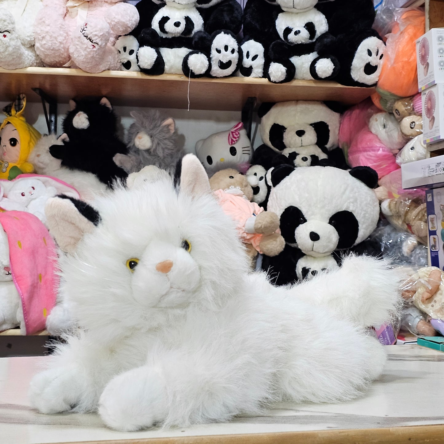 White Persian Cat Plush – 35cm Soft Toy with Sound | Bacha Toys