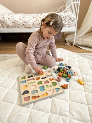 Fun and Learning Toys Huge Collection Now Available at Bacha Toys