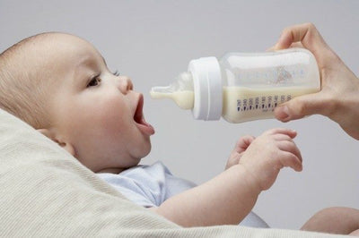 Baby Feeder