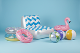 Accessories & Toys