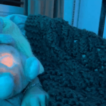 Fun Toy Breathing Bear – Realistic Plush Cuddly Toy for Kids | Bacha Toys Pakistan