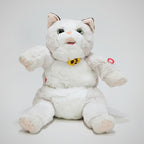 Learn to Speak Plush Cat with Shoulder Bag – White Colour | Bacha Toys