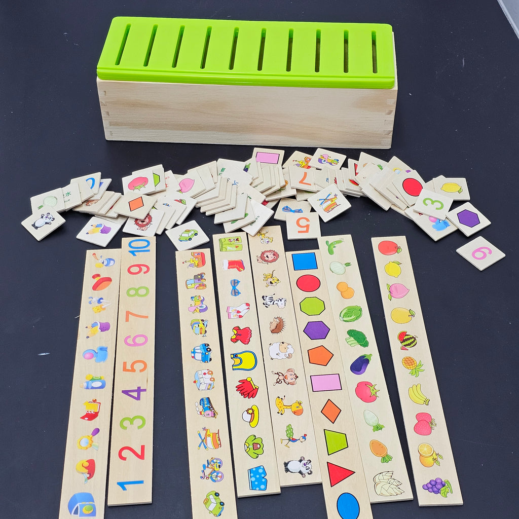 Knowledge Classification Box – Educational Sorting Toy for Kids | Bacha Toys