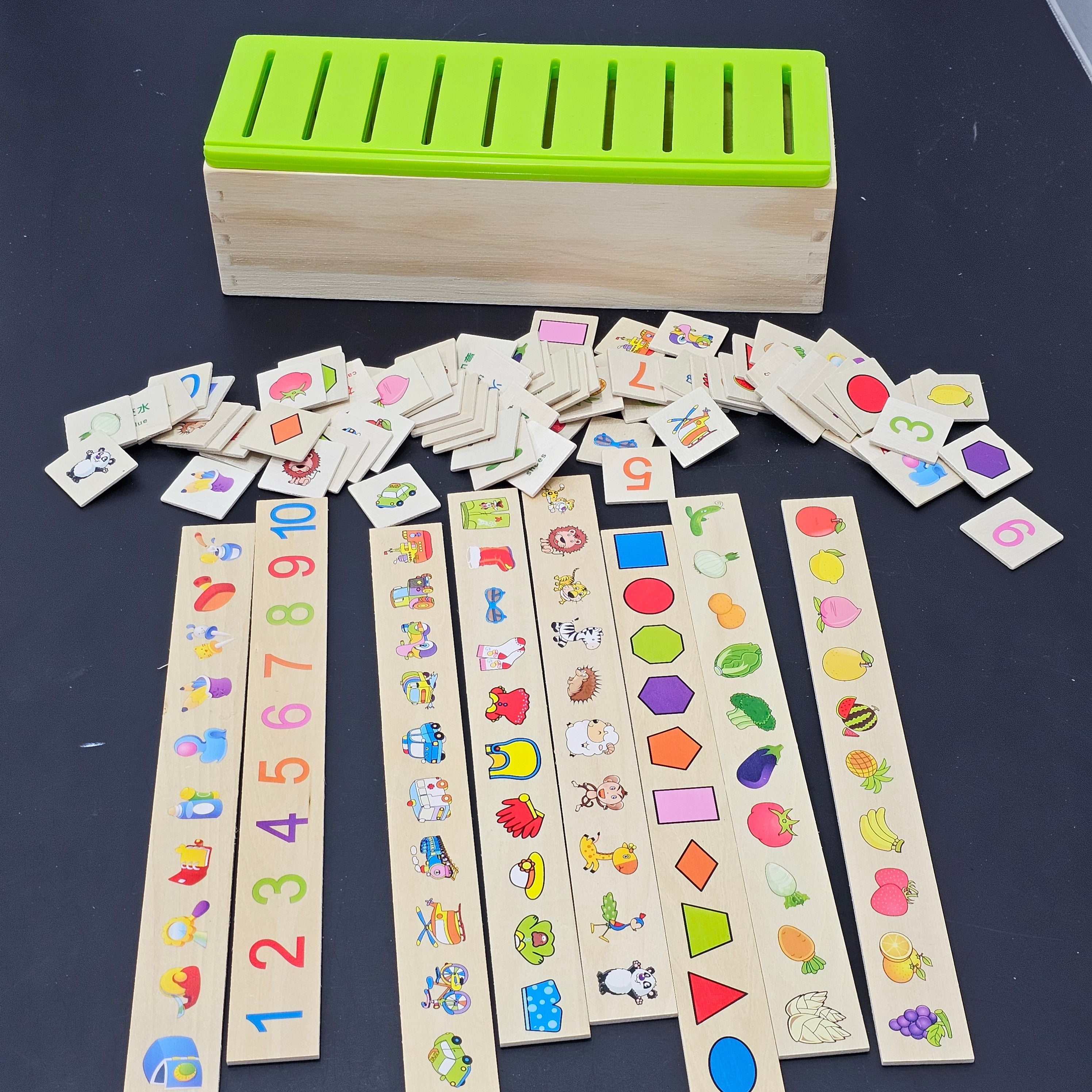 Knowledge Classification Box – Educational Sorting Toy for Kids | Bacha Toys